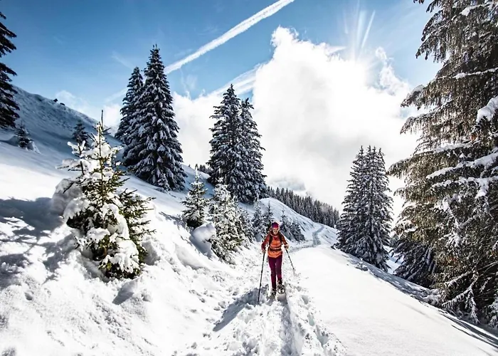 Apartamento In Near De Vonnes